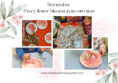 /album/baby-bear-kindergarten/pink-and-white-baby-bear-png/